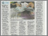 [thumbnail of Page 13, column 1-5(Rencana), text and photo only, colour, 14/4/2026]